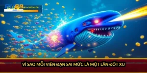 Vì sao mỗi viên đạn sai mức là một lần đốt xu