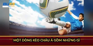 Một dòng kèo châu Á gồm những gì